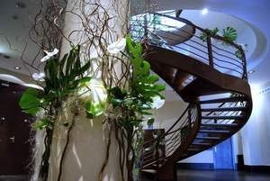 Escaleras