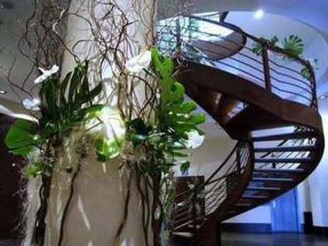Escaleras